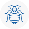 Bed Bug Extermination In Sandhurst