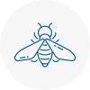 Bee Nest Removal Sandhurst