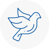 Bird Prevention Sandhurst