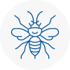 Sandhurst Hornet Nest Removals