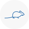 Mice Exterminators In Sandhurst
