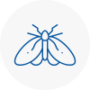 Moth Control Specialists In Sandhurst