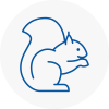 Sandhurst Rodent Removals