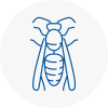 Sandhurst Wasp Nest Removal